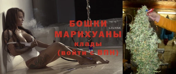 сатива Дмитровск