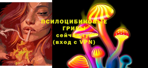 мескалин Елизово