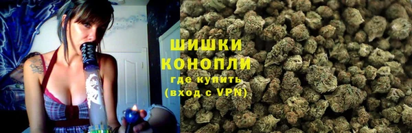 ГАЛЛЮЦИНОГЕННЫЕ ГРИБЫ Дмитров