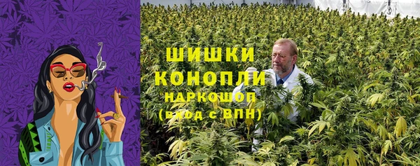 стаф Гусь-Хрустальный