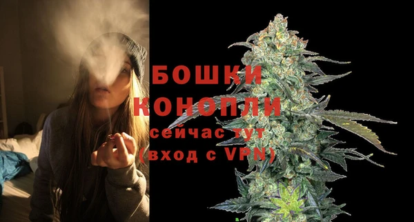 ГАЛЛЮЦИНОГЕННЫЕ ГРИБЫ Дмитров