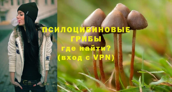 дурь Дмитриев
