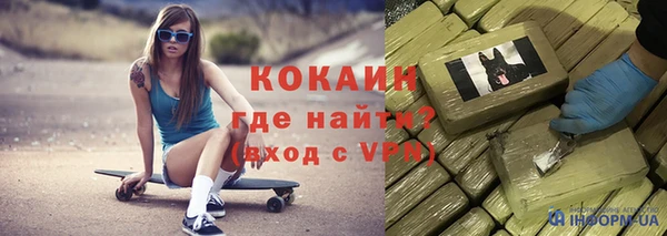 дурь Дмитриев