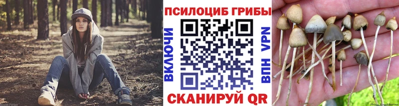 Псилоцибиновые грибы MAGIC MUSHROOMS  Купить где  Салехард 