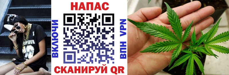 Марихуана план  Купить где  Салехард 